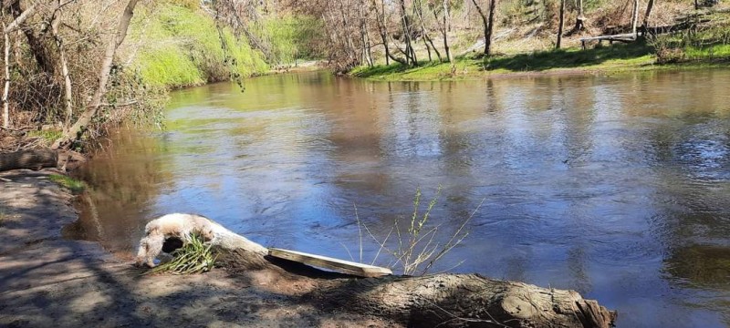 Parcela Con Rio - Sector Santa Elcira, los Ángeles