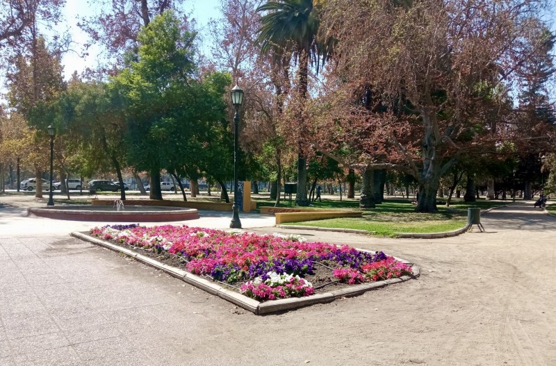 Arriendo Departamento Barrio Bellas Artes , Santiago