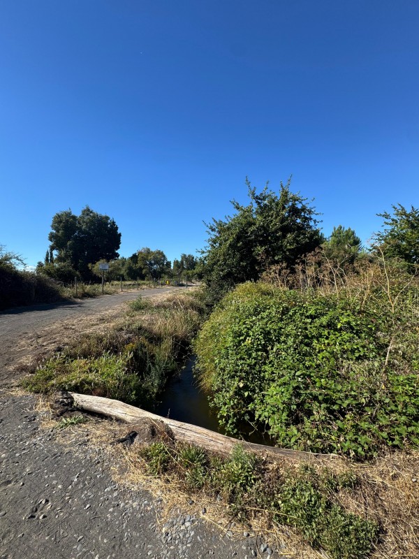 🏡 Se Vende Parcela – Km 7 Camino A Santa Bárbara