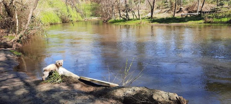 Parcela Con Rio - Sector Santa Elcira, los Ángeles