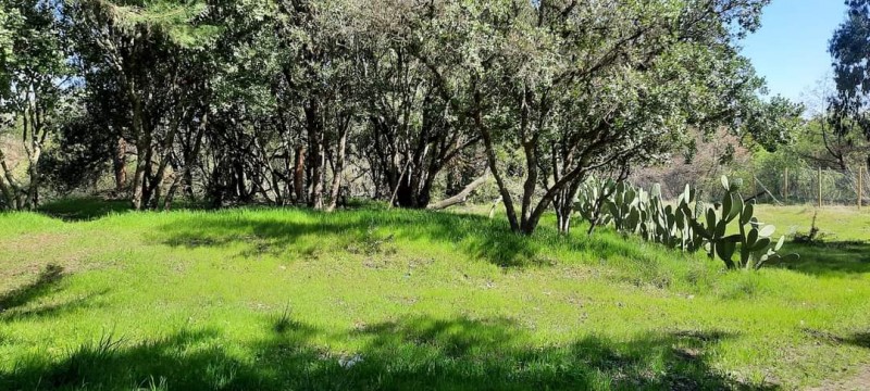 Parcela Con Rio - Sector Santa Elcira, los Ángeles