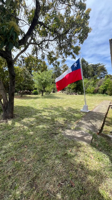 Vende Parcela 5000M2 Camino las Trancas Km5