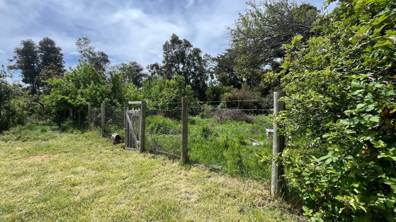 Vende Parcela 5000M2 Camino las Trancas Km5