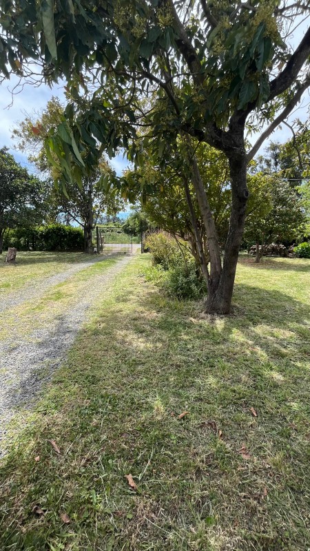 Vende Parcela 5000M2 Camino las Trancas Km5