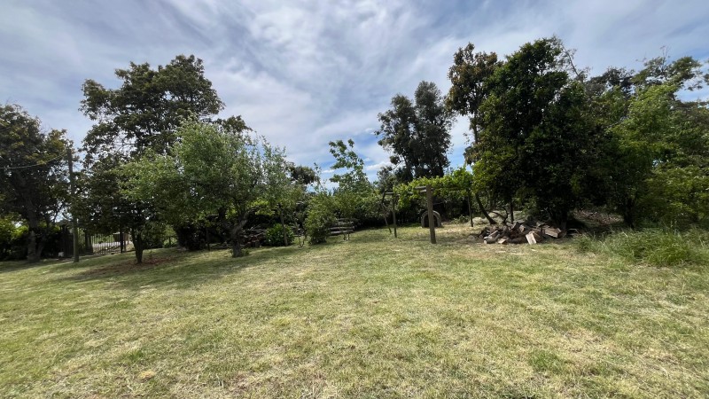 Vende Parcela 5000M2 Camino las Trancas Km5