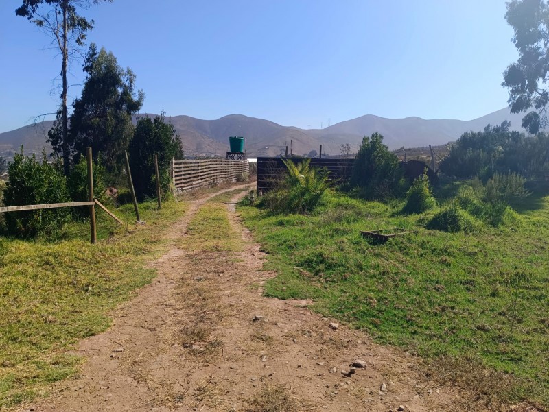 Lindo Terreno para Inversión en Altovalsol!