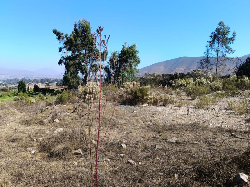Lindo Terreno para Inversión en Altovalsol!