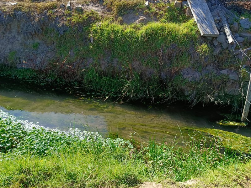 Lindo Terreno para Inversión en Altovalsol!