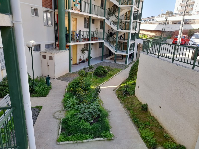 Depto. 1Er. Piso, Zenteno 1530, Condominio, Sta. Julia, Viña
