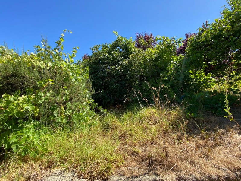 Excelente Ubicación, Vende Terreno, 2 Casas, Regularizadas