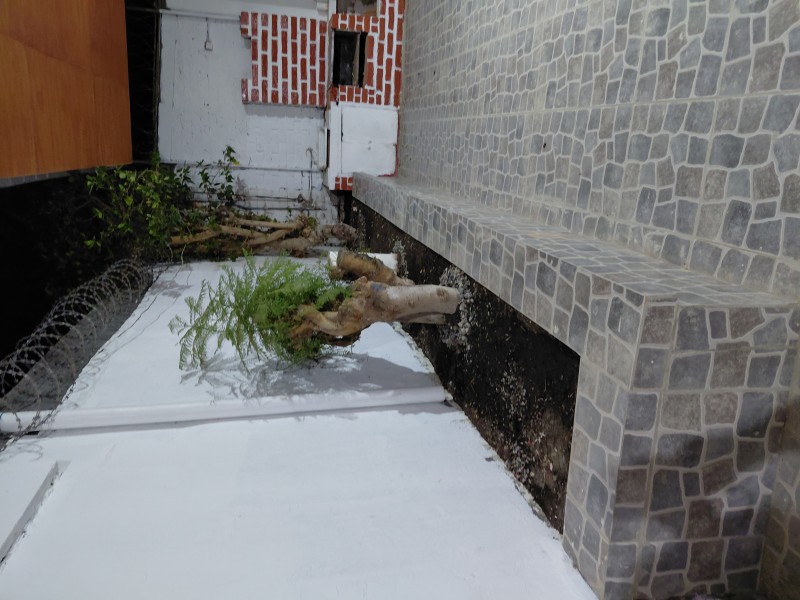 Fotografía de Arriendo Casa en Magisterio