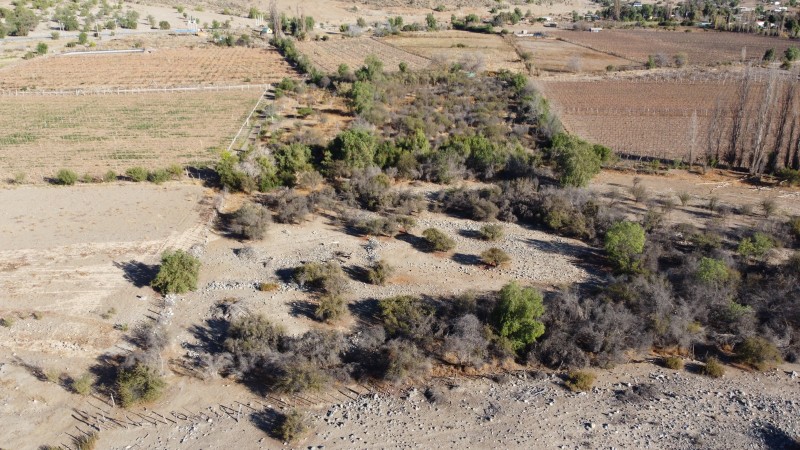 📍venta de Terreno 2 Ha – Sector Panguesillo