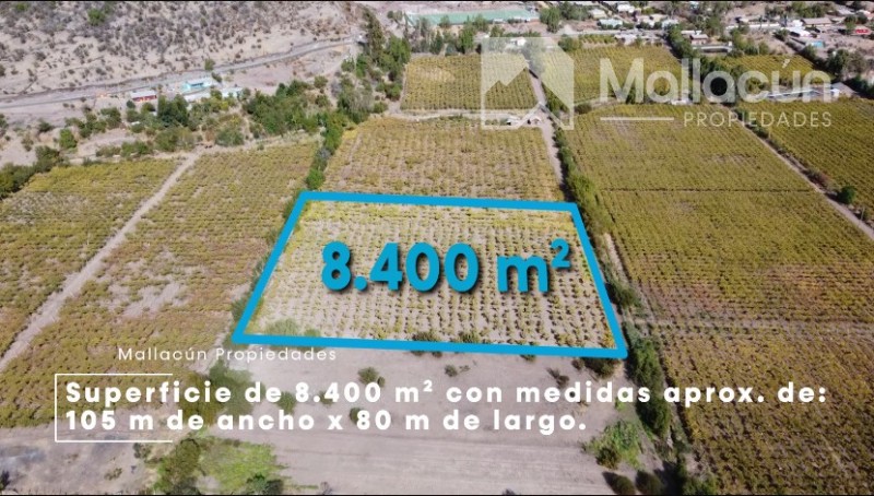 Fotografía de Parcela en Producción Coirón en Venta