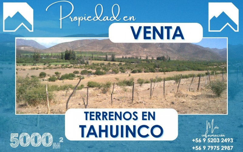 Fotografía de Terreno en Venta - Tahuinco - Callejón Gálvez