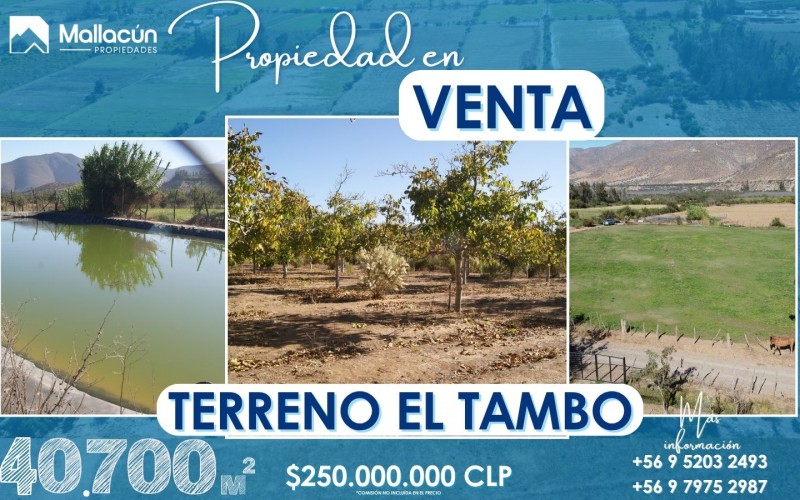 Terreno en Venta en el Tambo, Salamanca | Inversión