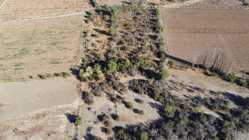 📍venta de Terreno 2 Ha – Sector Panguesillo