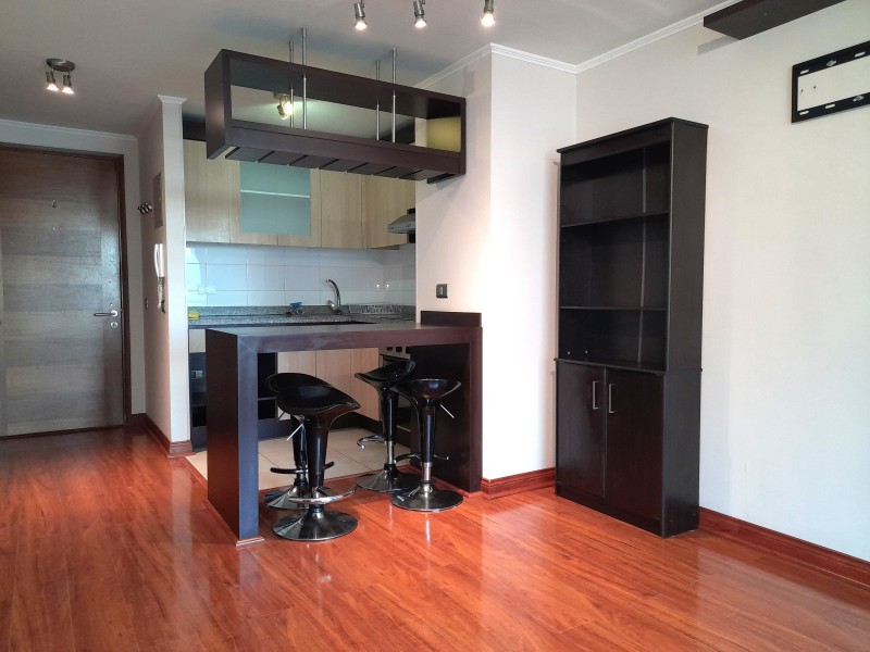 Soleado y Cómodo Departamento Central en Viña