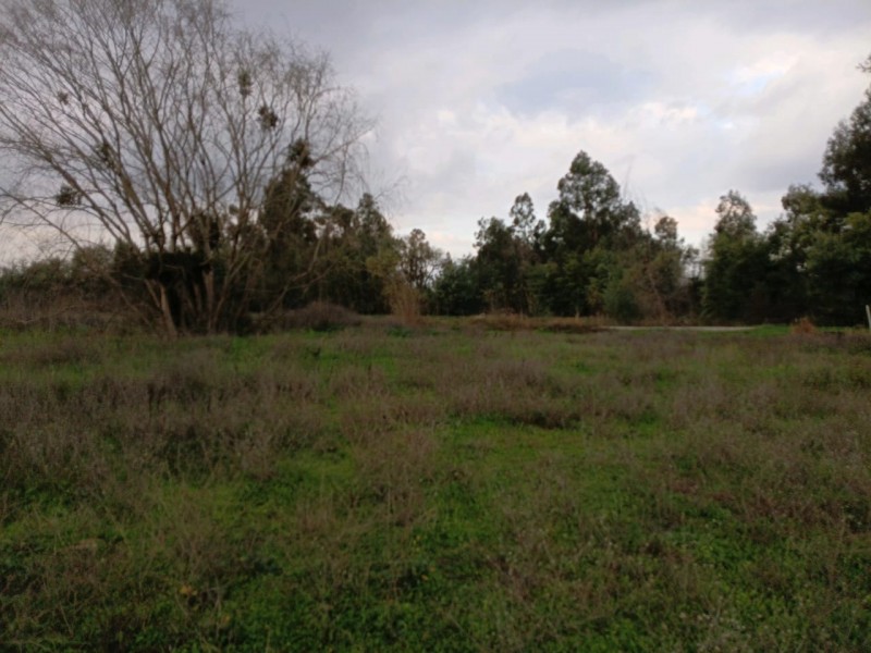 Linda Parcela (Condominio el Cruce)