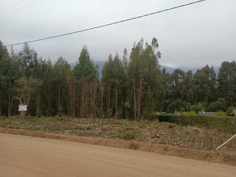 Venta Parcela Mantagua