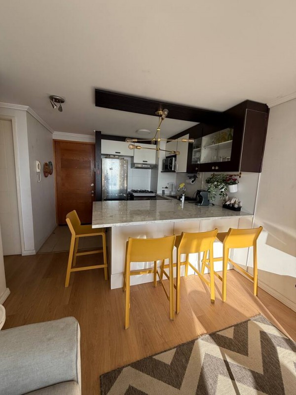 Arriendo Departamento Amoblado Marzo A Diciembre