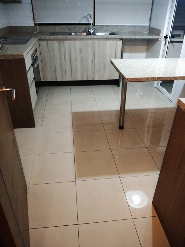 Arriendo Amplio Departamento en los Ponientes