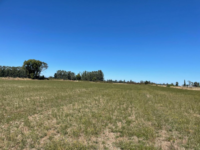 Lindo Terreno 5000 Mt en Rio Bueno Sector Rofuco Bajo