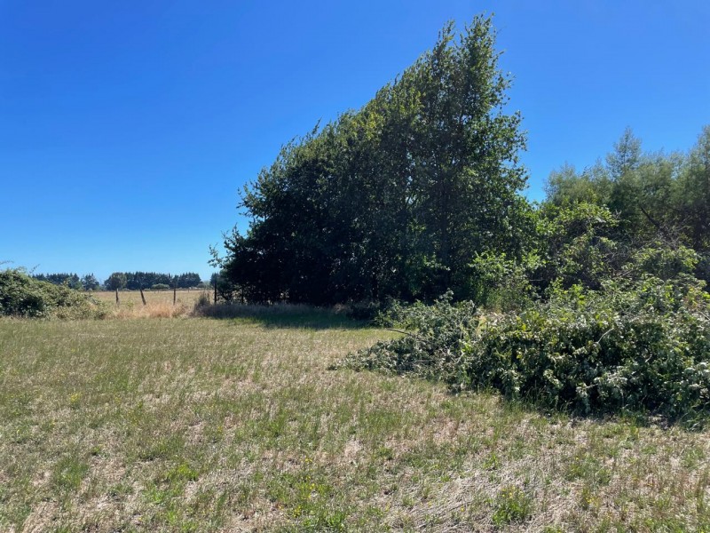 Lindo Terreno 5000 Mt en Rio Bueno Sector Rofuco Bajo