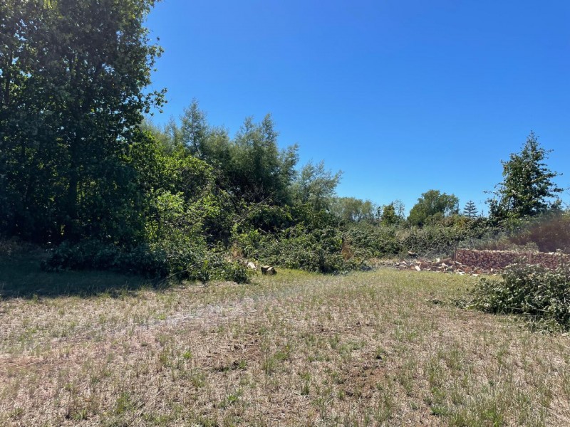 Lindo Terreno 5000 Mt en Rio Bueno Sector Rofuco Bajo