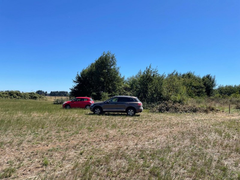 Lindo Terreno 5000 Mt en Rio Bueno Sector Rofuco Bajo
