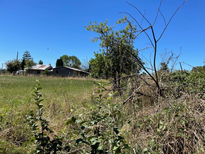 Lindo Terreno 5000 Mt en Rio Bueno Sector Rofuco Bajo