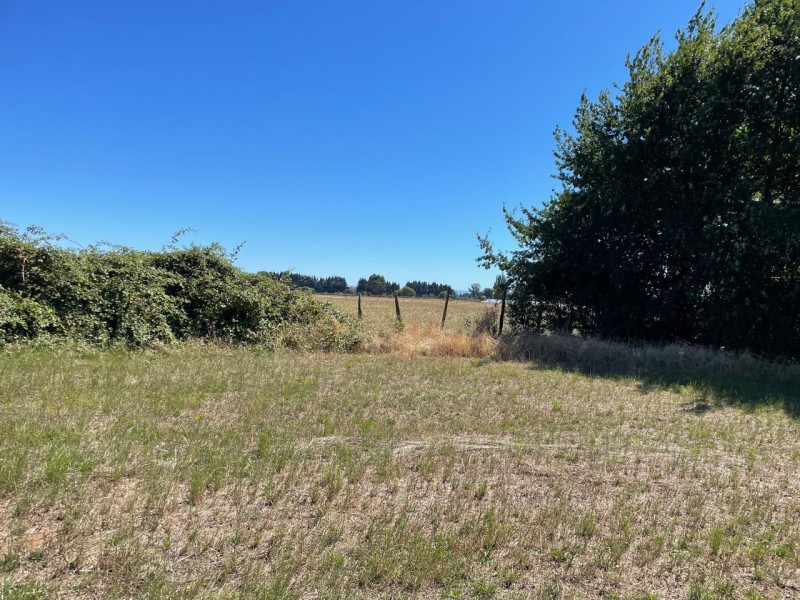 Lindo Terreno 5000 Mt en Rio Bueno Sector Rofuco Bajo