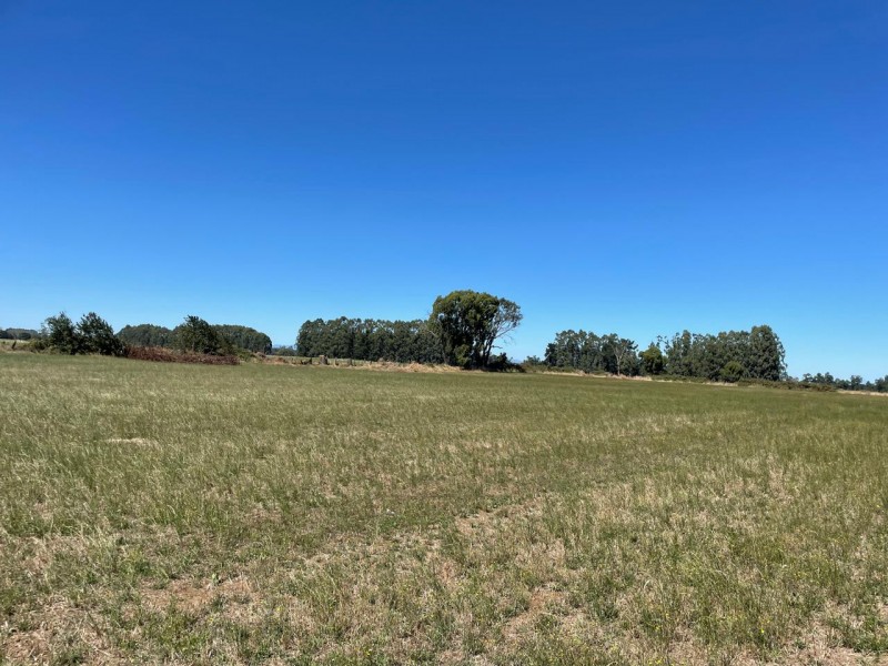 Lindo Terreno 5000 Mt en Rio Bueno Sector Rofuco Bajo