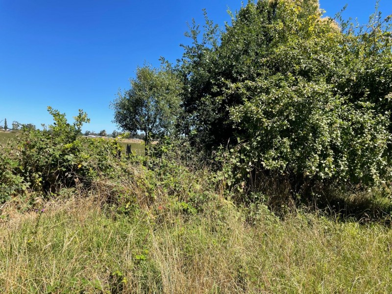 Lindo Terreno 5000 Mt en Rio Bueno Sector Rofuco Bajo