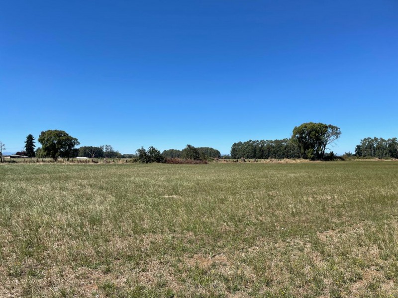 Lindo Terreno 5000 Mt en Rio Bueno Sector Rofuco Bajo