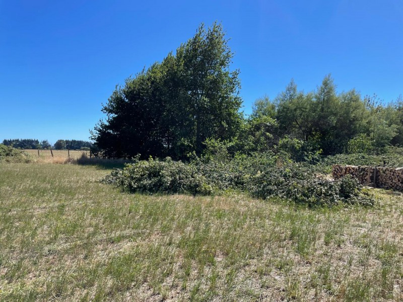 Lindo Terreno 5000 Mt en Rio Bueno Sector Rofuco Bajo