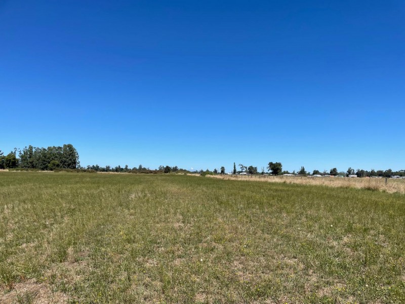 Lindo Terreno 5000 Mt en Rio Bueno Sector Rofuco Bajo