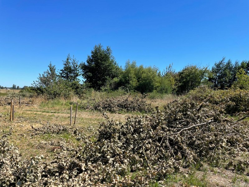 Lindo Terreno 5000 Mt en Rio Bueno Sector Rofuco Bajo