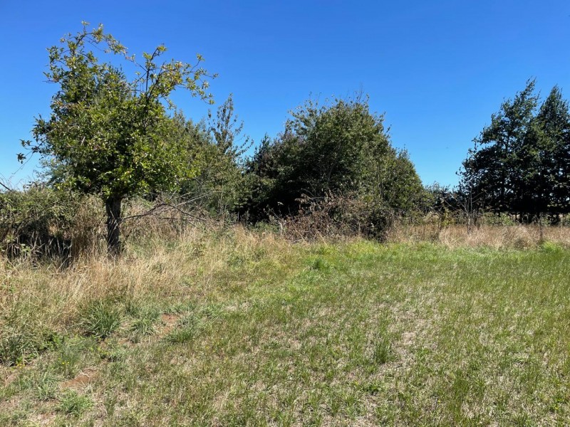 Lindo Terreno 5000 Mt en Rio Bueno Sector Rofuco Bajo
