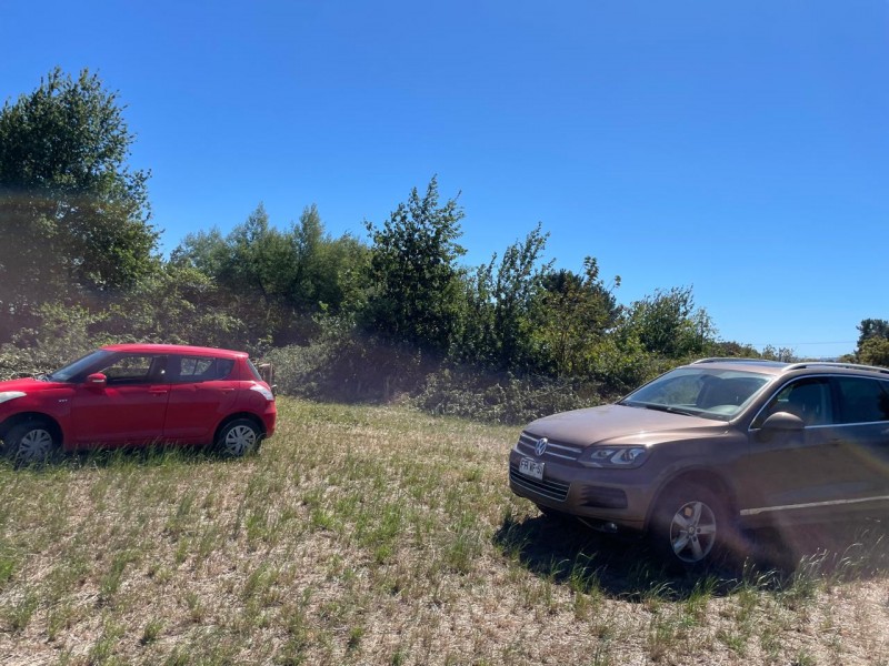 Lindo Terreno 5000 Mt en Rio Bueno Sector Rofuco Bajo