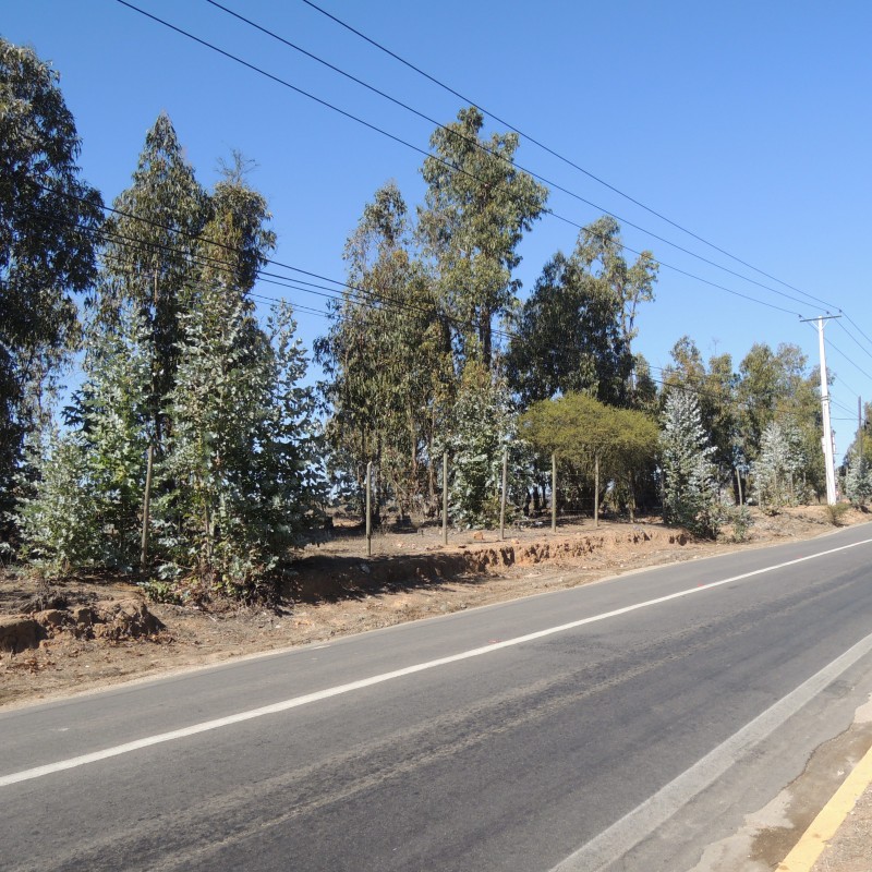 17.000 Mt en Fuerte Aguayo, Excelente Ubicacion Con Luz