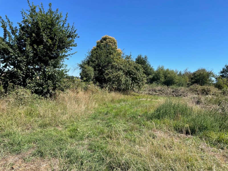 Lindo Terreno 5000 Mt en Rio Bueno Sector Rofuco Bajo