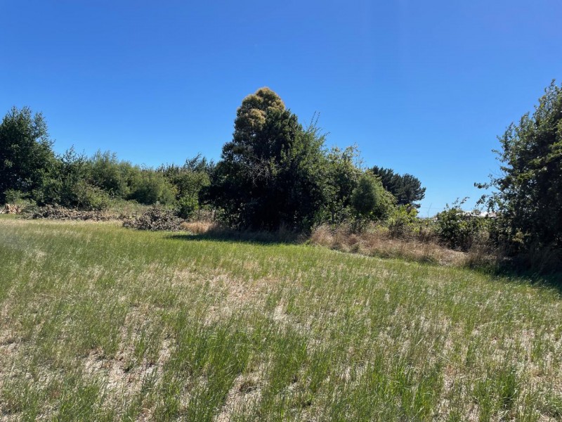 Lindo Terreno 5000 Mt en Rio Bueno Sector Rofuco Bajo