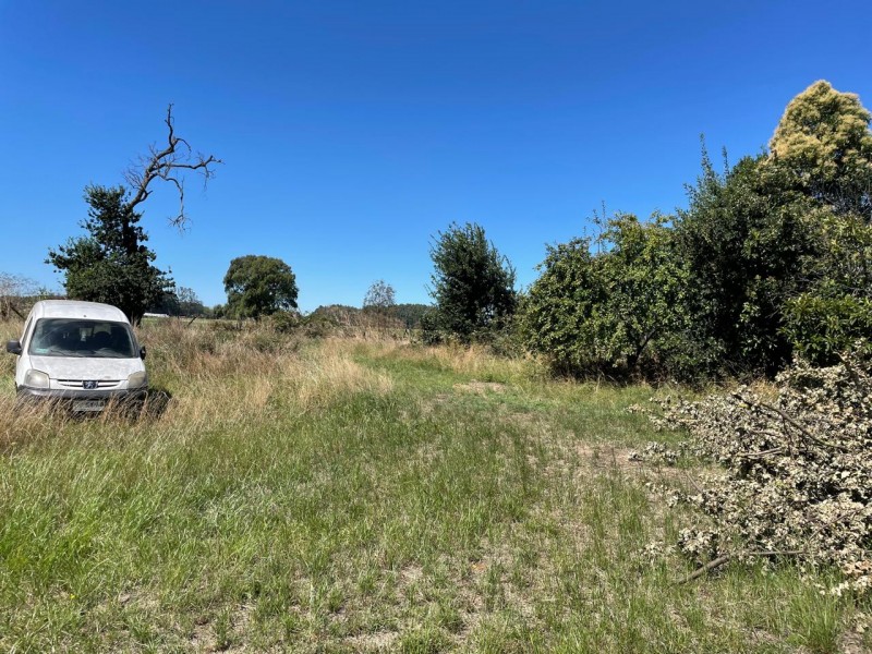 Lindo Terreno 5000 Mt en Rio Bueno Sector Rofuco Bajo