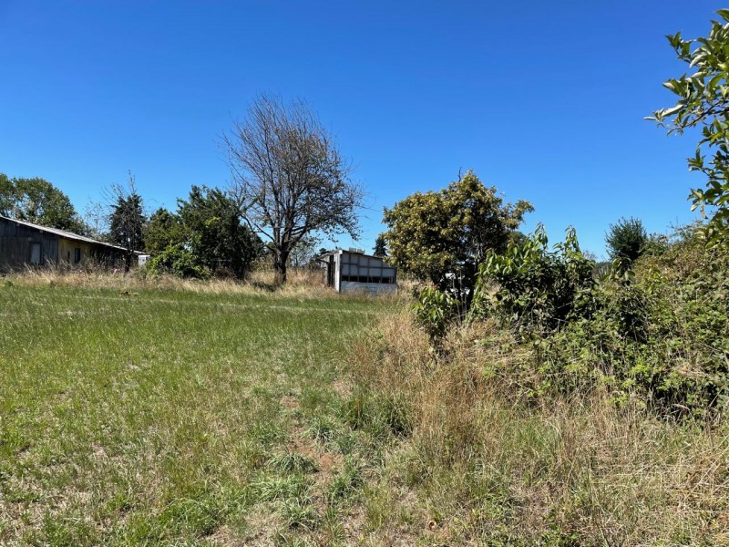Lindo Terreno 5000 Mt en Rio Bueno Sector Rofuco Bajo