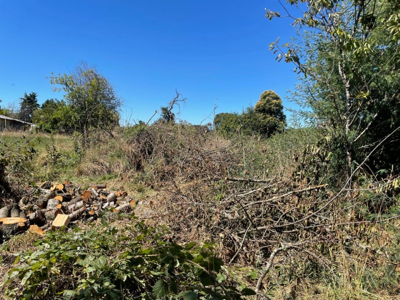 Lindo Terreno 5000 Mt en Rio Bueno Sector Rofuco Bajo