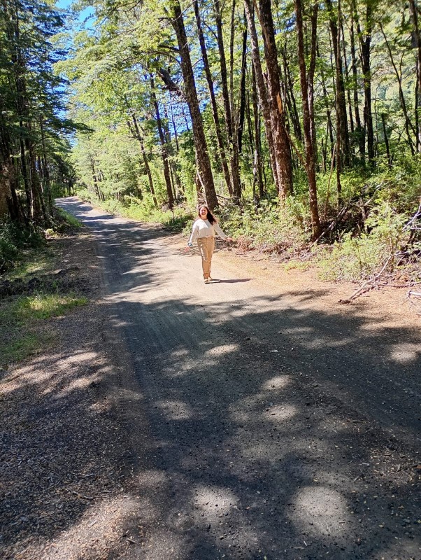 Hermosa Parcela Curarrehue Rinconada Huililco