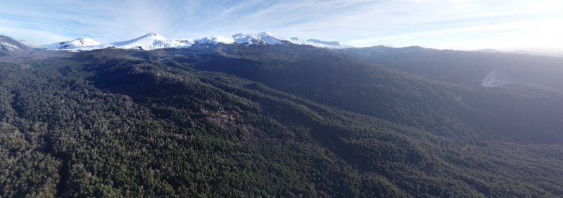 Hermosa Parcela Curarrehue Rinconada Huililco