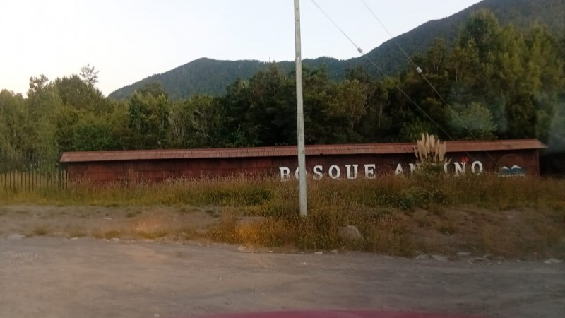 🌿 Vive Rodeado de Bosque Nativo en Bosque Andino