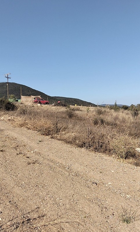 Terreno en Venta – Sector el Colmo, Quintero