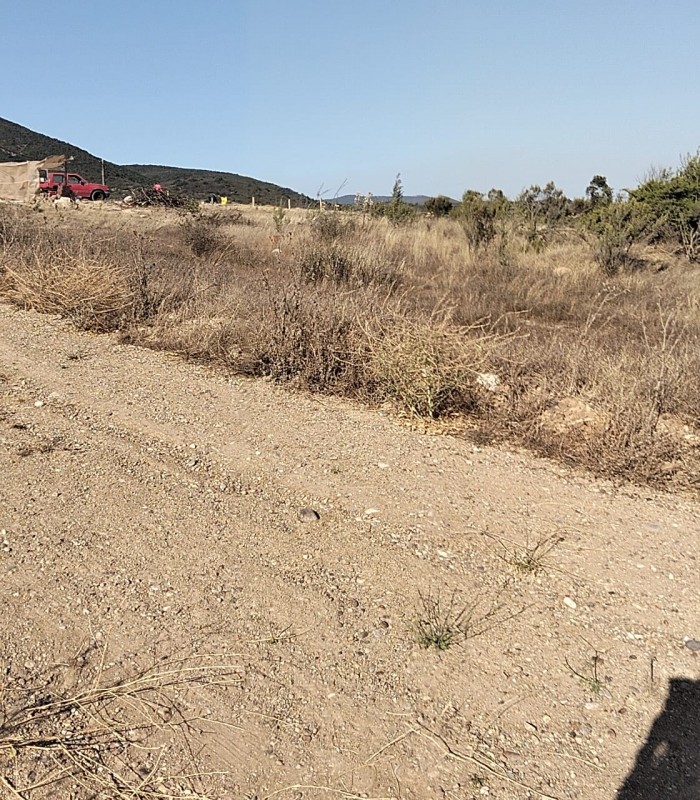 Terreno en Venta – Sector el Colmo, Quintero